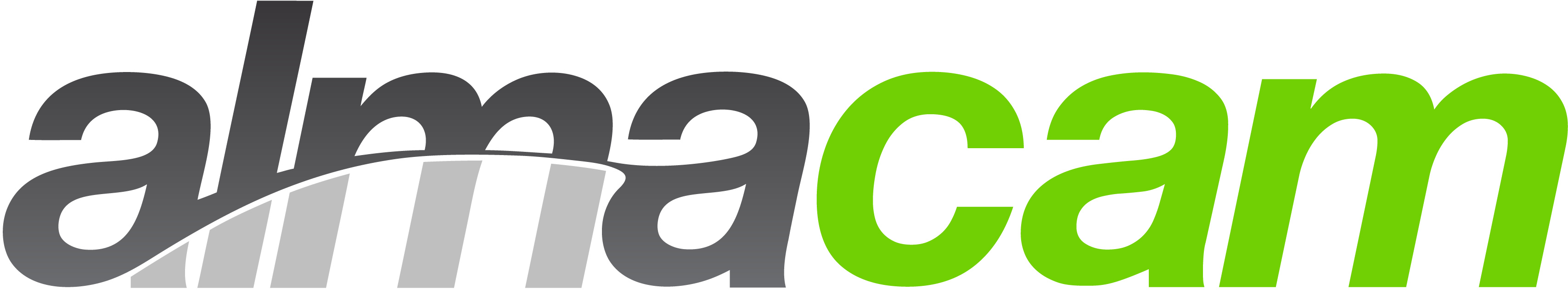 Logo Almacam
